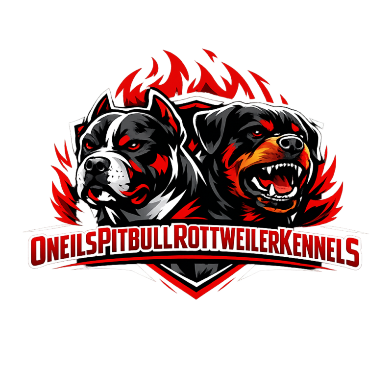 oneilspitbullrottweilerkennels.com